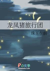 猪狗防夜贼打一动物